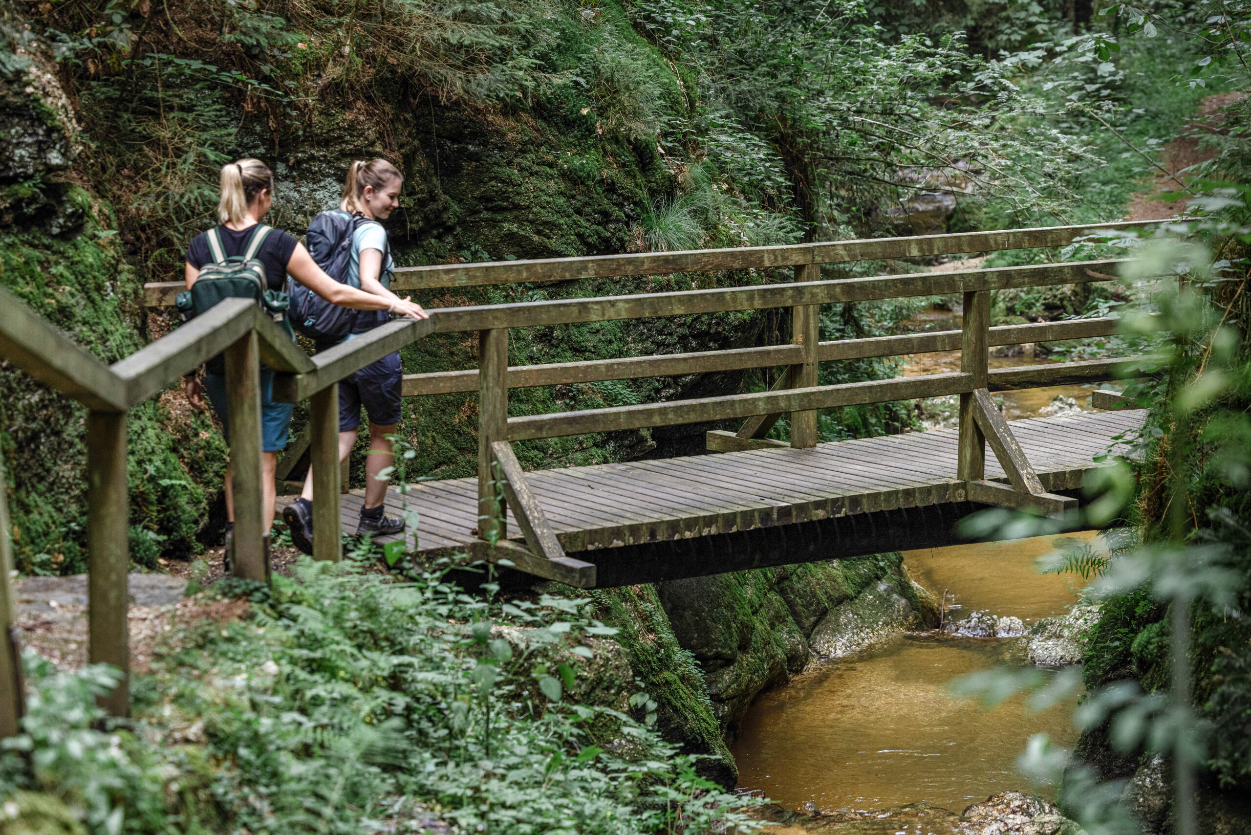 Wandern in Bad Kreuzen Schatz.Kammer